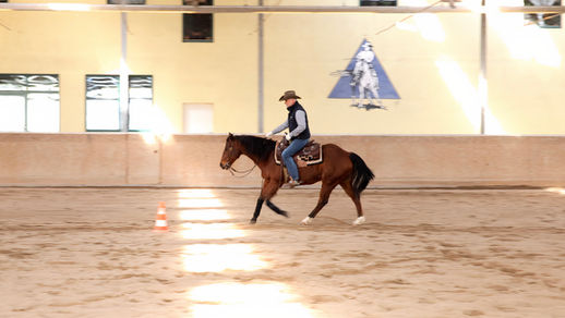 Spannung im Galopp: Training mit erfahrenen Pferden